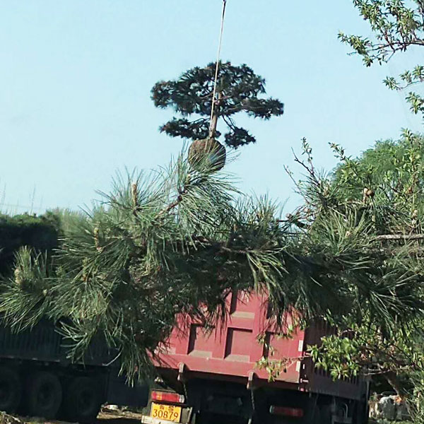裝車(chē)現(xiàn)場(chǎng)